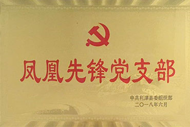 Phoenix vanguard party branch